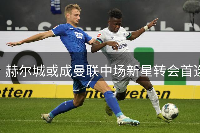 赫尔城或成曼联中场新星转会首选